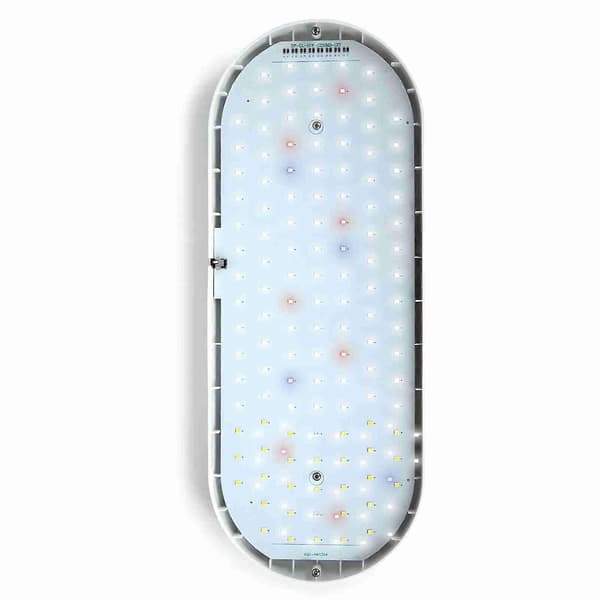 Lite bordvekstlys 10W Fullspektrum LED-pære 4 lysstyrkejusteringer Innendørsplanter