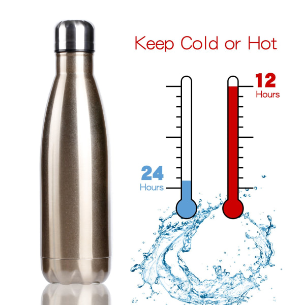 500 ml isolert vannflaske Dobbelvegg vakuum i rustfritt stål flaske lekkasjesikker holder varme og kalde drikker Leveres med en rensebørstegave