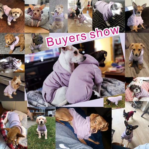 Vinterhund-hettegenser med lommer Varme hundeklær for små hunder Chihuahua-frakk-klær Valp-katt Custume (lilla, XX-liten)