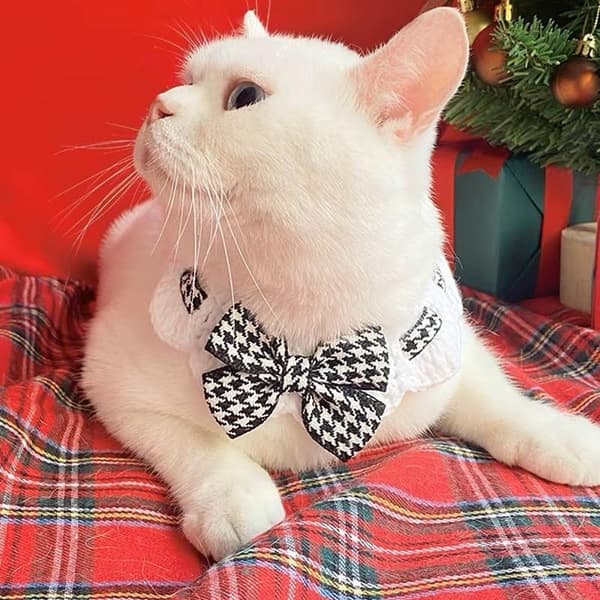 e Kattkrage Ull Virkade Katter Flugkrage För Kattunge Valp Red L