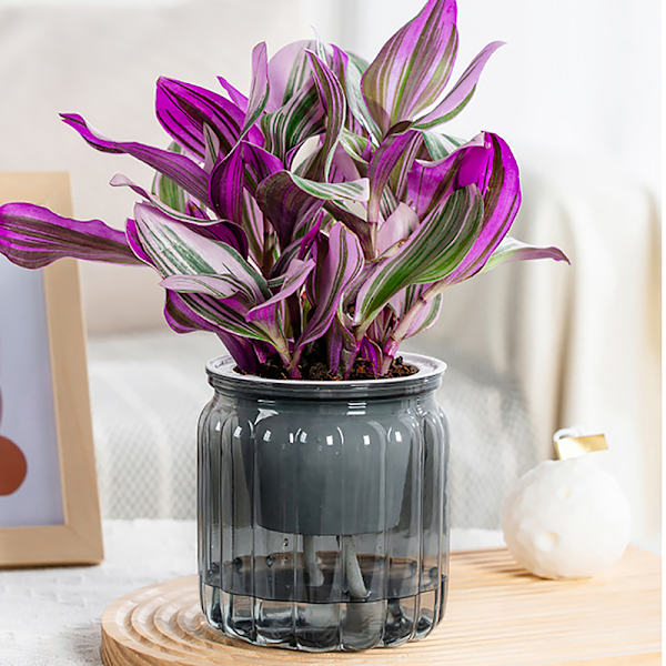 Runda självvattnande blomkrukor Hydroponics er självabsorberande W Gray