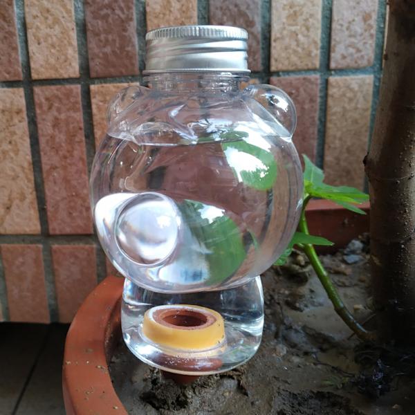 Waterer Self Water Globes Selvvanende Spikes Indoor & Ou B