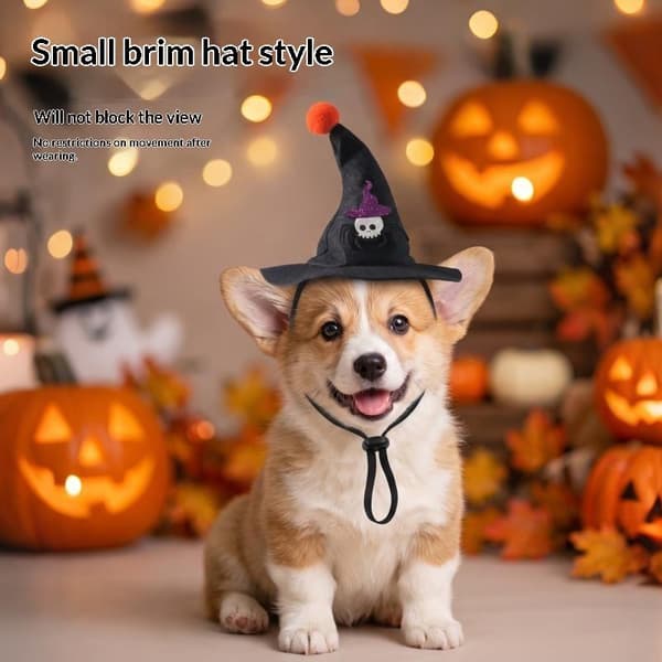 Halloween heksehue til katte og hunde, justerbart kæledyrstryllekostume A1