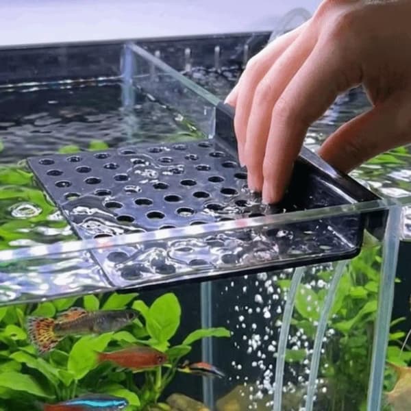 Takasuodatin Sivusuodatin Akvaariotarvikkeet Hapetus Ankannokka B