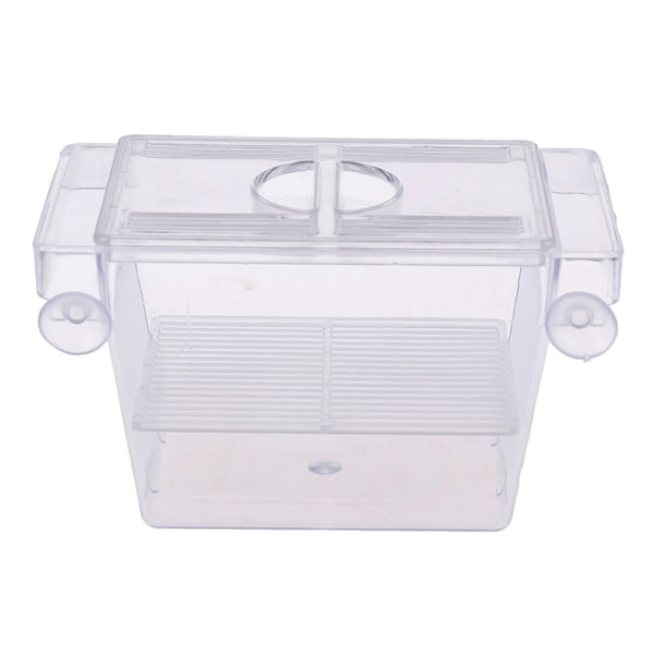 Akvarium Fiskeoppdrett Guppy Dobbel Avl Oppdretter Rearing Felle B