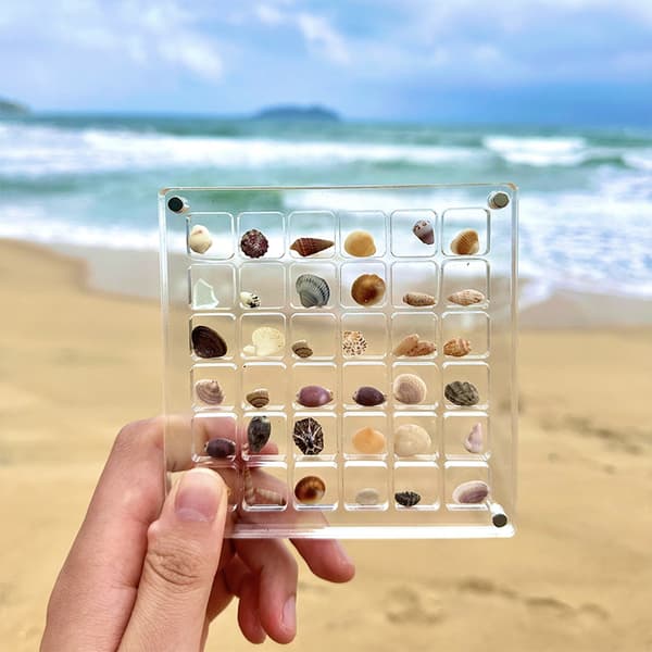 Akryl Display Box Nipsgenstande Organizere 36/64/100 Gitre Mini Hav 100 holes