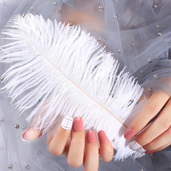 Nail Art Feather Display Stand Feather Decoration Colorful Phot Gray
