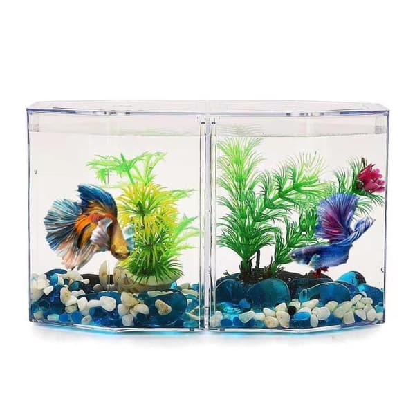 Dobbeltroms kampfiskboks Eco Rumble fiskeakvarium