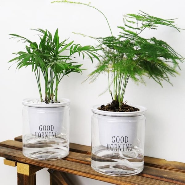 Rund automatisk vannabsorberende selvvannende blomsterpotte Hydrop A