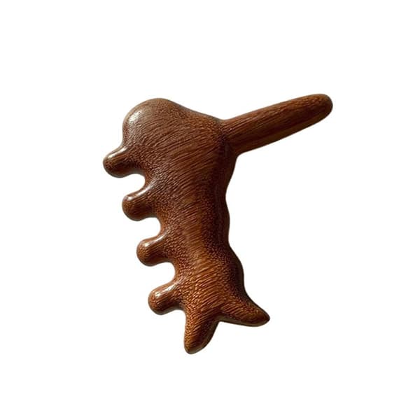 Puinen Gua Sha jalkahieroja