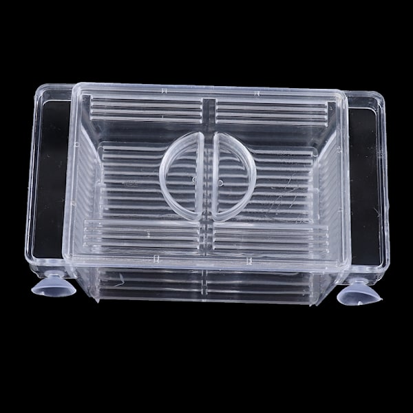 Akvarium Fiskeoppdrett Guppy Dobbel Avl Oppdretter Rearing Felle B