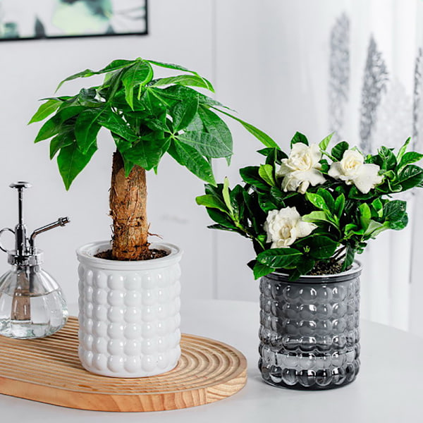 Mini selvvanding blomsterpot i plast Gray