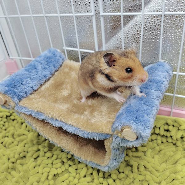 Hamster Hanging House häkki nukkumispesä Lemmikkisänky Rotan Hamsteri Gu Coffee 26*18*12cm