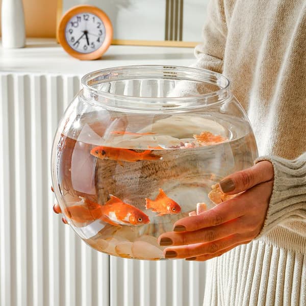 Transparent Rund Prydnadsfisk Tank Bärbar Guldfisk Liten A2