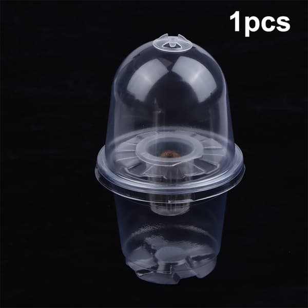Synlig Klar s Groddkopp Transparent Plast Plantskola Gro 1pcs