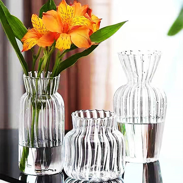 Gennemsigtige glasvaser til flaskeblomsterpotte Nordic Creative C