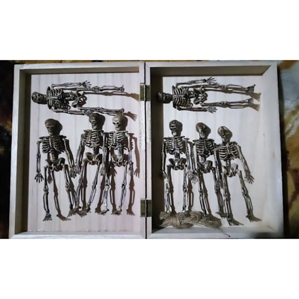 Luurankomallin tukkumyynti Learn Aid Anatomia taiteen luonnos Halloween