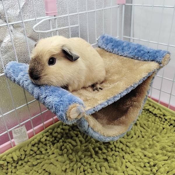 Hamster Hanging House häkki nukkumispesä Lemmikkisänky Rotan Hamsteri Gu Blue 20*14*10cm