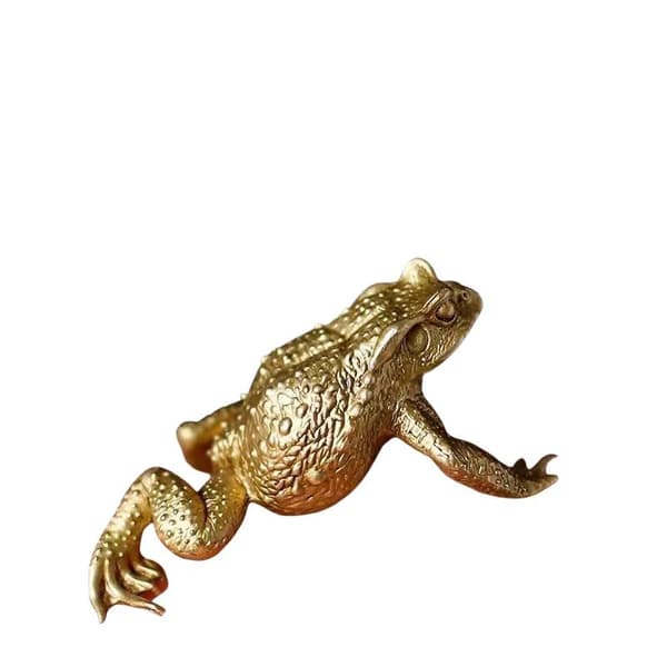Feng Shui Kobber Lomme Penge Frø Lykke Messing Tudse Figur