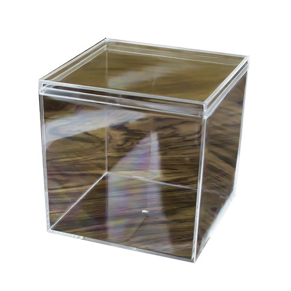 Firkantet Høj Transparent Plastic Box Betta Breeding Box Mini Can A2