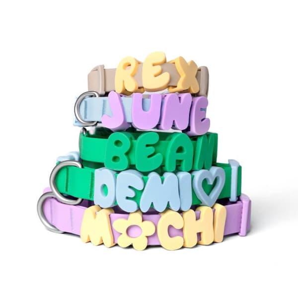 DIY silikon bokstav charms hund navn dekor charms for vanntett A25