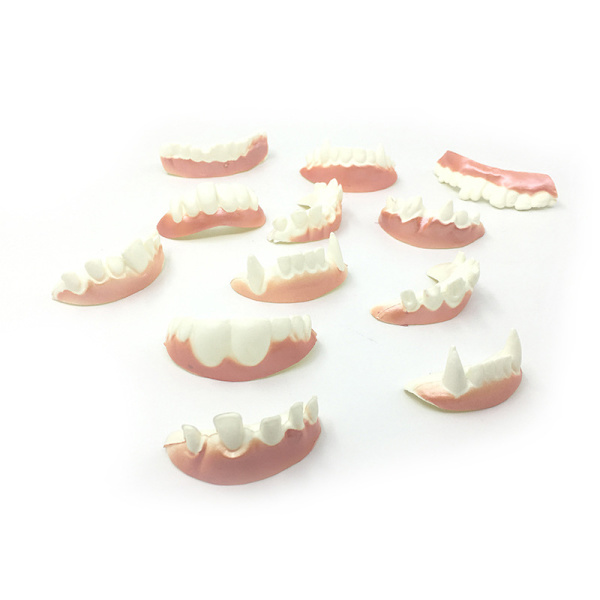 12 stk Morsomme Gebissmodell Cosplay Rekvisitter Gebissleker Spoof Til 12pcs