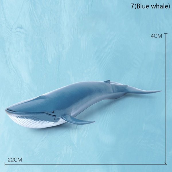 Simulering Marine Sea Life-figurer Actionfigurer Ocean Anima 7(Blue whale)