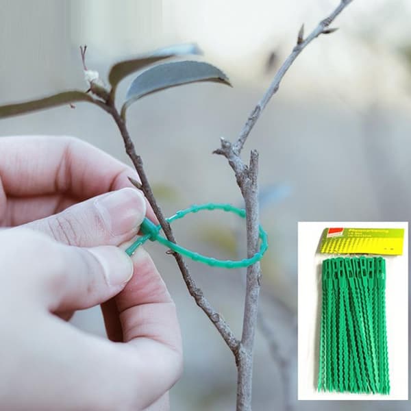 Bladdesign Plastik Kabelbindere Selvlåsende til Støtte Have 50PCS