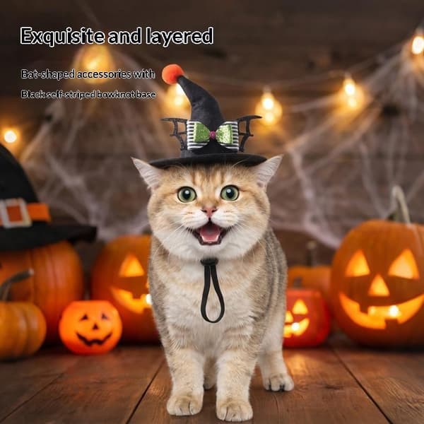 Halloween heksehue til katte og hunde, justerbart kæledyrstryllekostume A1
