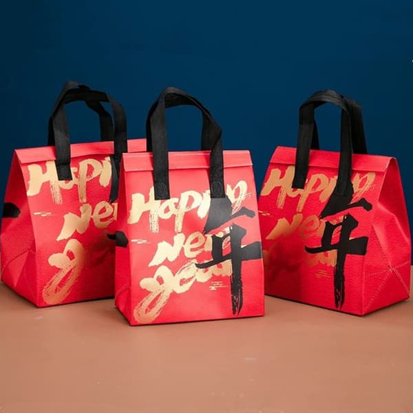 Nyttårs isolert takeaway-pose for jobb og shopping – isolasjonspakke Medium