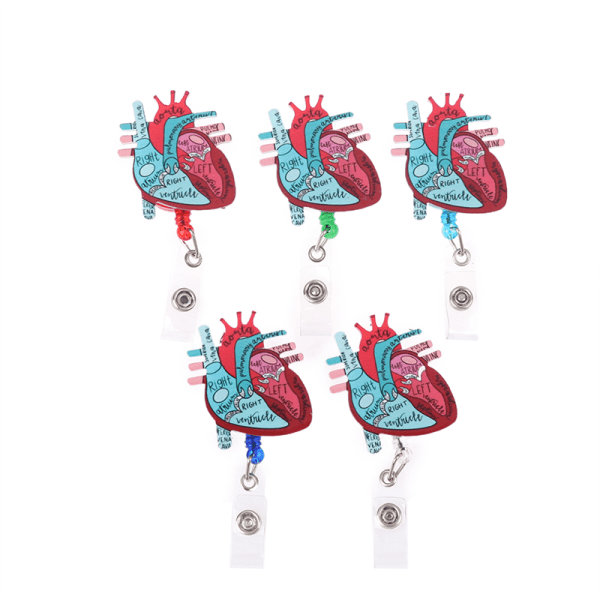 Anatomisk hjertediagram uttrekkbar merkesnelle med lær Ta Blue