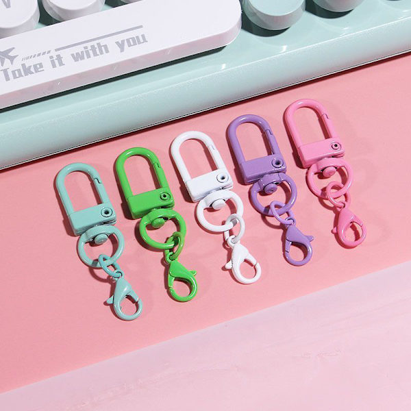 10 stk Farge nøkkelring anheng med hummerspenner Hundespenne nøkkel Ri 10Pcs Random Color