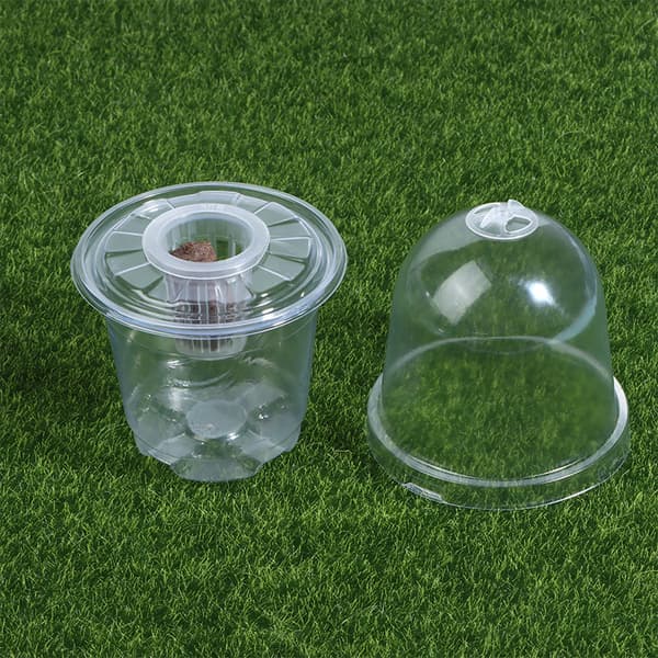 Synlig Klar s Groddkopp Transparent Plast Plantskola Gro 1pcs