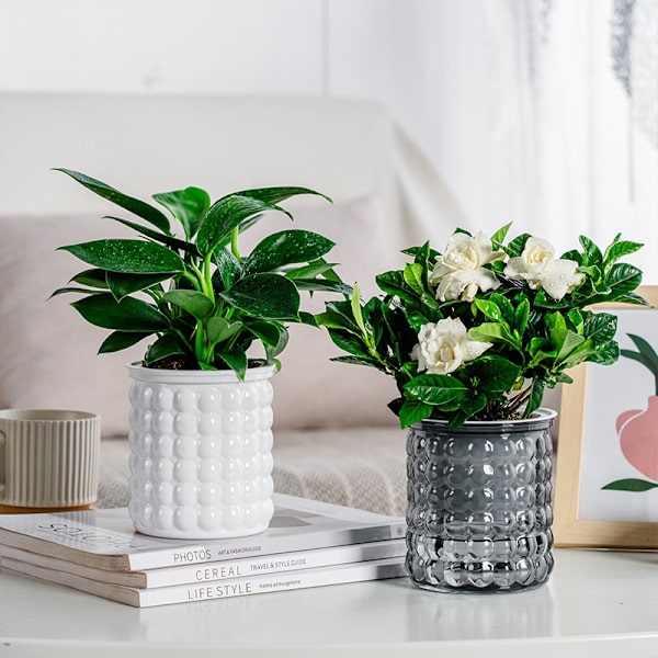 Mini selvvanding blomsterpot i plast Gray