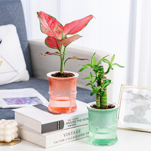 Selvvanning er Potter Hydroponic Flowerpot Transparent Pot Skrivebord White