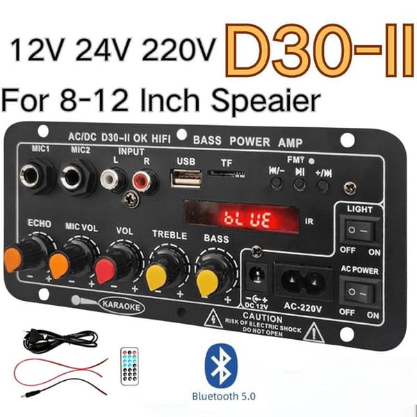 D30 D10 Förstärkare 12V24V Högeffektsförstärkare med Bluetooth Ca D30II