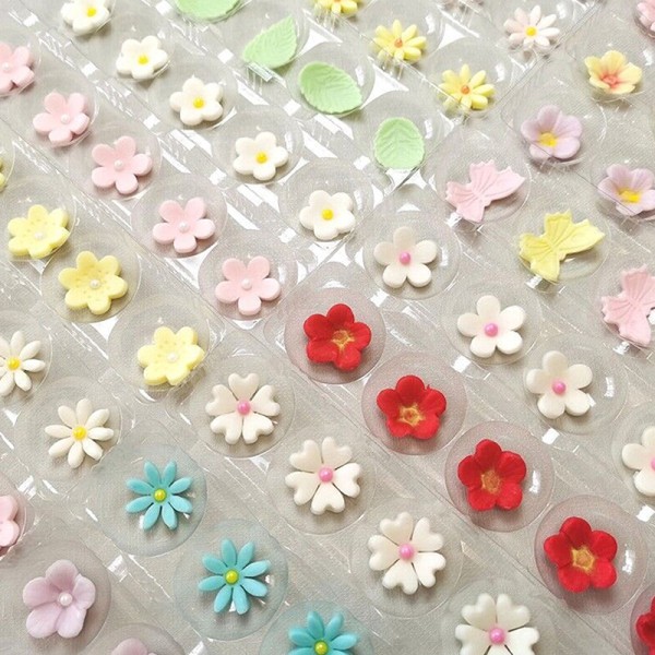 15 hullers blomsterfondantformende sukkerformstativ tørreholder F 2pcs