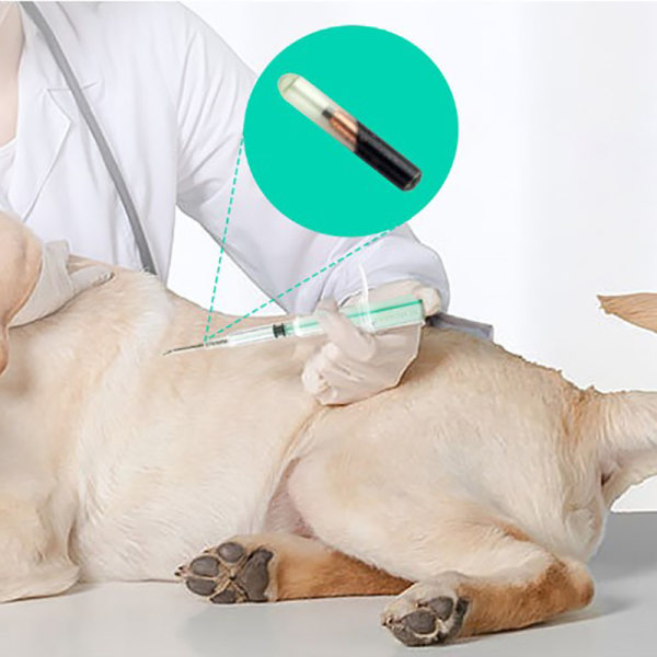 Pet ID Chips Im Kit 2,1x12mm Animal Microchip ISO11784/785 FDX- A