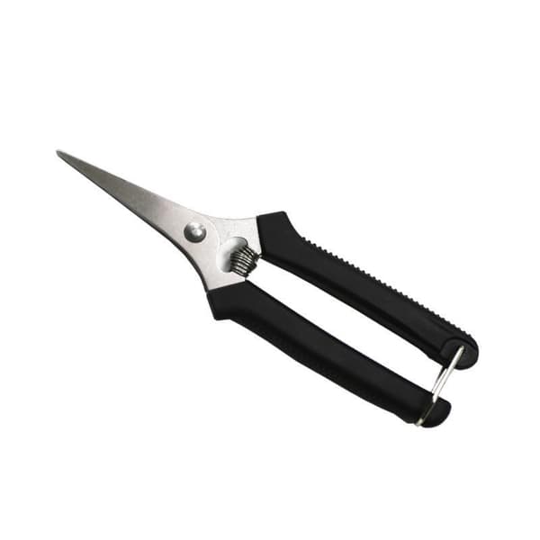 Frugtplukkersaks i rustfrit stål med skarpe blade skridsikker Black