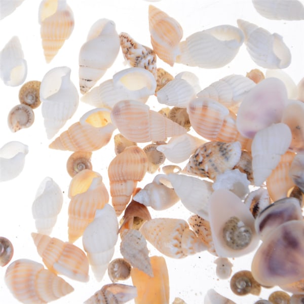 Omtrent 40 stk/pose Miniatyrdukkehus Sea Shell Bonsai Lanscape D