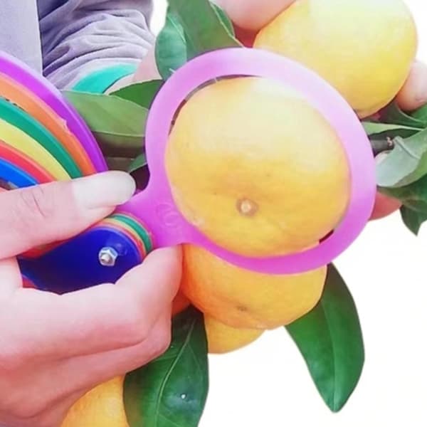 13 st fruktdiametermätverktyg i plast A