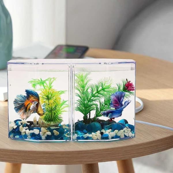 Dubbel fack Fighting Fish Box Eco Rumble Fish Akvarium