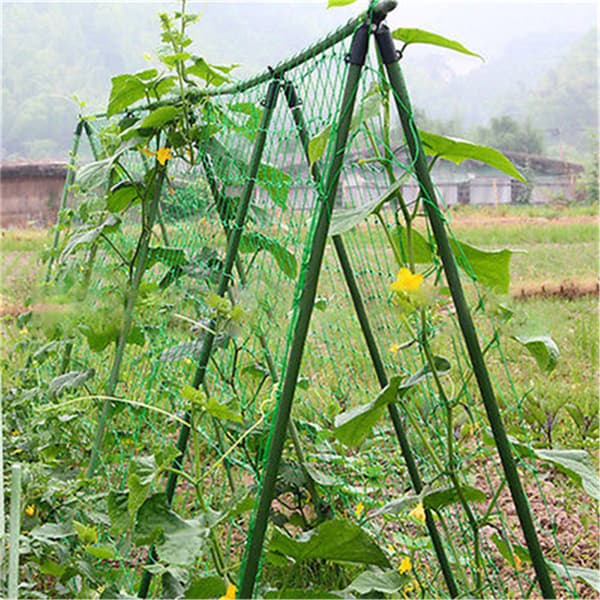1,8x1,8m Have Netting Support Climbing N