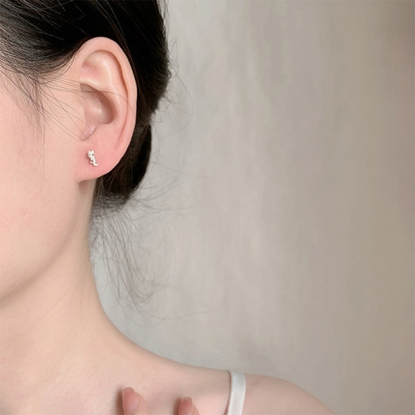 1 Par mode örhängen örhängen för kvinnor Brosk Helix Ear