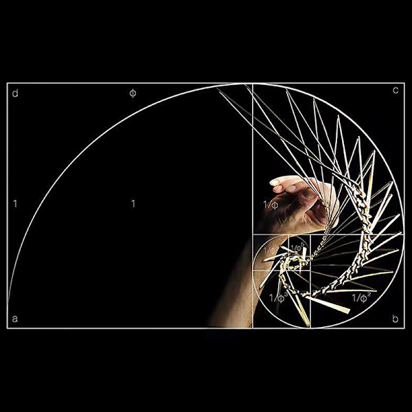 Square Wave Kinetic Spinner Creative Design Of Dekorative Ornam Silver