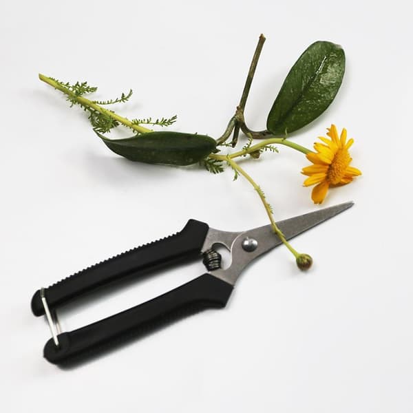 Frugtplukkersaks i rustfrit stål med skarpe blade skridsikker Black