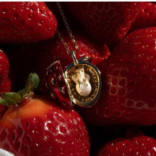 Piilotettu hamsteri eläin emali avattava medaljonkikaulakoru B