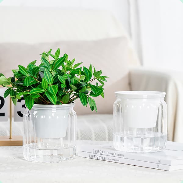 Runde selvvanende blomsterpotter Hydroponics er selvabsorberende W Transparent