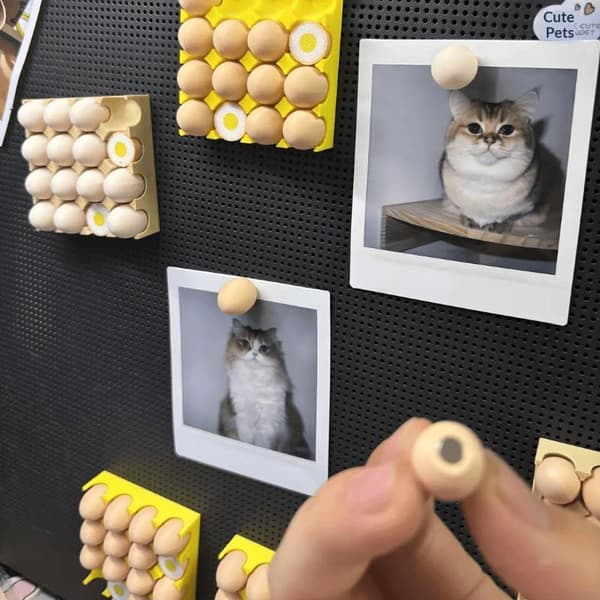 e Egg Tray Kjøleskapsmagnet Avtakbar Magnetisk Eggholder Bilder Meg