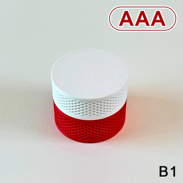 AAA/AA Batteriopbevaringsboks (batterier medfølger ikke) Batteribeholder B1